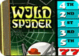 Wild Spider