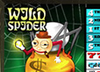 Wild Spider